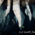 cave_cc_h_0072_pal3426.jpg